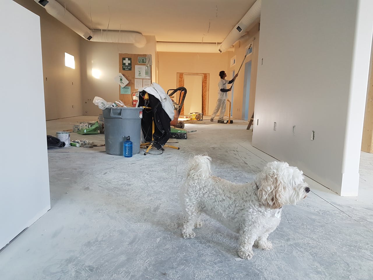 our-services-2 Interior renovation scene with a painter working and a dog in the foreground.